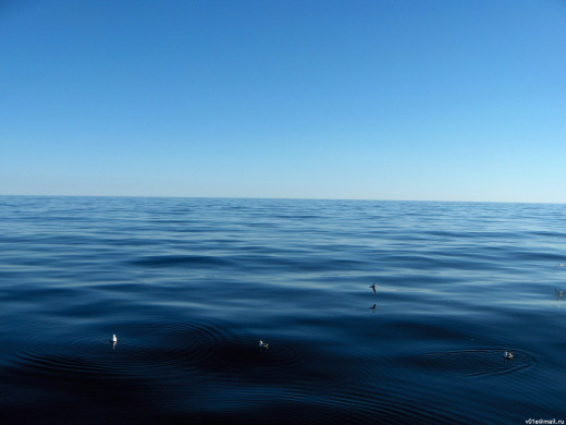 31531 (a): :1600x1200